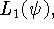 tex2html_wrap_inline849