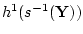 ${h^1}({s^{-1}}({\bf Y}))$