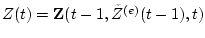$ Z(t)={\bf Z}(t-1,{\tilde Z}^{(e)}(t-1),t) $